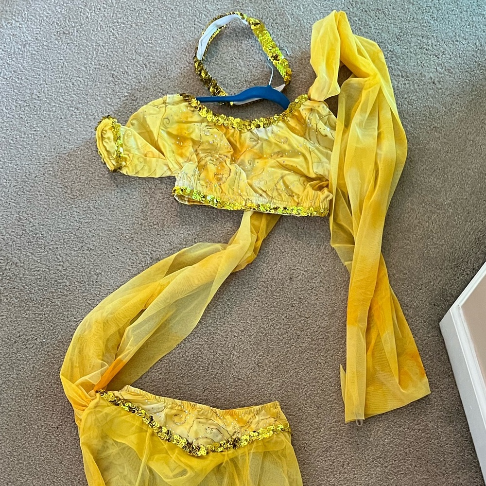 Bollywood dance costume